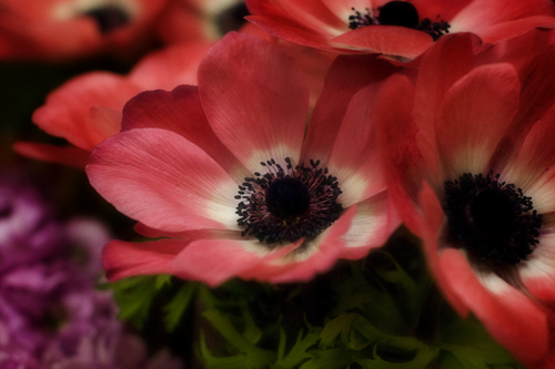 floral design